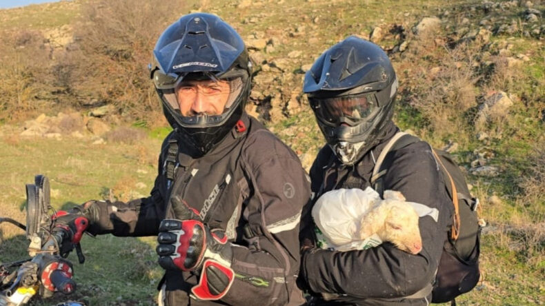 Yalnız kalan kuzuyu annesine kavuşturdular