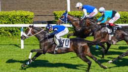 At Yarışlarında Bahis Yetkisi Değişiyor