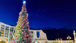 Yılbaşı Etkinlikleri İki Şehirde İptal Edildi