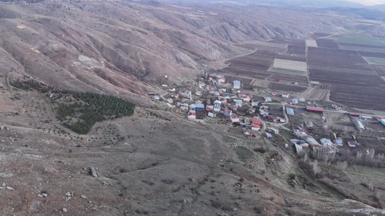 Yıllar Önce Gölgesiz Olan Alan Şimdi Ormanla Dolduruldu
