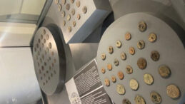 Yurt Dışında Ka&ccedil;ırılan 110 Tarihi Eser T&uuml;rkiye'ye İade Edildi