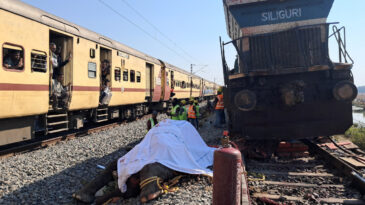 Y&uuml;ksek Hızlı Tren, Fil S&uuml;r&uuml;s&uuml;ne &Ccedil;arptı