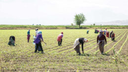 Ziraat Odaları'ndan Bakanlığa Yanıt: Makasın Varlığı İnk&acirc;r Edilemez