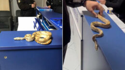 'Arkadaşım hediye etti' demesi yetmedi: Hem el konuldu hem ceza yedi