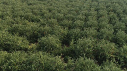 'Sanayiye bile verilemez hale geldi' dedi, k&ouml;t&uuml; haberi verdi