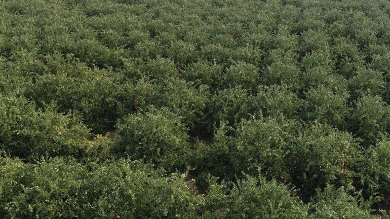 'Sanayiye bile verilemez hale geldi' dedi, k&ouml;t&uuml; haberi verdi