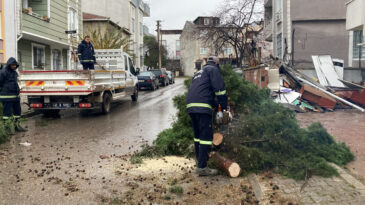 12 Metrelik Ağa&ccedil; Devrildi: Yol Trafiğe Kapandı