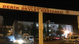 14 Yaşındaki Kız Tabancayla Vurulmuş Halde &Ouml;l&uuml; Bulundu