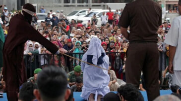 140 Kez Kırba&ccedil;landı, Bayıldı