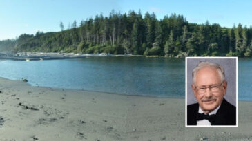19 Yıl Sonra Sahilde Bulunan İskeletin Gizemi Ortaya &Ccedil;ıktı: Eski Belediye Başkanıydı