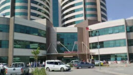 2 Yaşındaki &Ccedil;ocuk K&ouml;pek Saldırısında Ağır Yaralandı