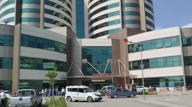 2 Yaşındaki &Ccedil;ocuk K&ouml;pek Saldırısında Ağır Yaralandı