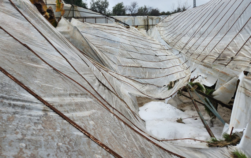 Dolu zararının boyutu