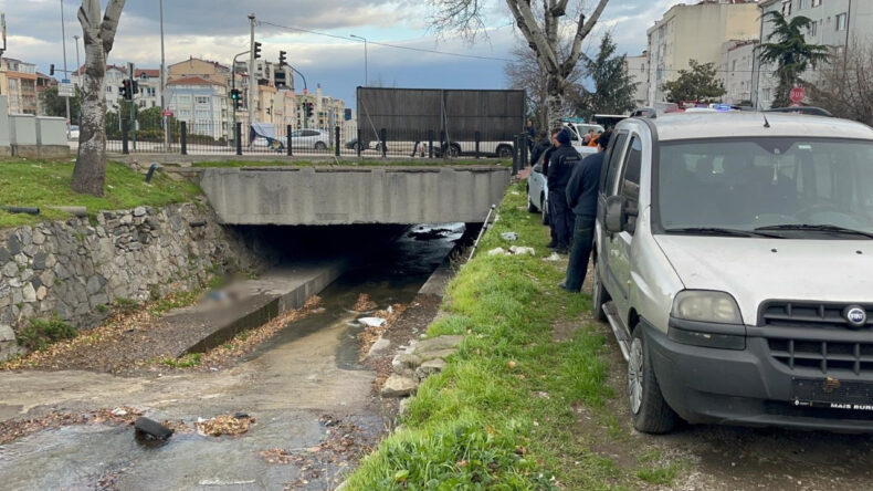 3 Metre Y&uuml;kseklikten D&uuml;şerek Hayatını Kaybetti