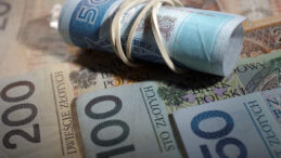 AB &Uuml;yesi &Uuml;lke Euro'ya Ge&ccedil;işte Aceleci Değil