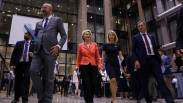 AB'de Soğuk R&uuml;zg&acirc;rlar: 'Arkasından Diktat&ouml;r Diyor'