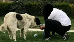 ABB&rsquo;den Matmazel Raporu: Darbe Sonucu Hayatını Kaybetti