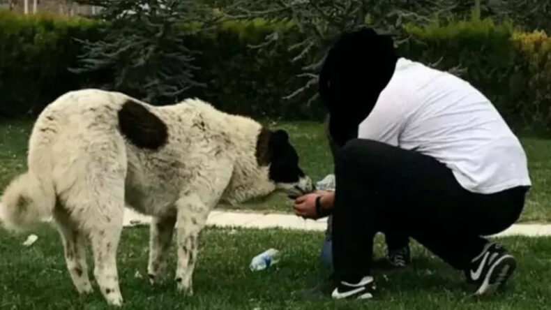 ABB&rsquo;den Matmazel Raporu: Darbe Sonucu Hayatını Kaybetti