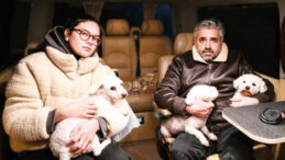 Ailesinden geriye &uuml;&ccedil; k&ouml;peği kaldı