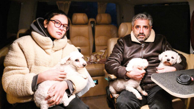 Ailesinden geriye &uuml;&ccedil; k&ouml;peği kaldı