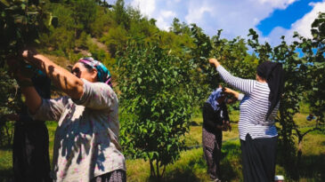 Alarm Verilmişti, Hasarın Boyutu Belli Oldu: 100 Bin Ton