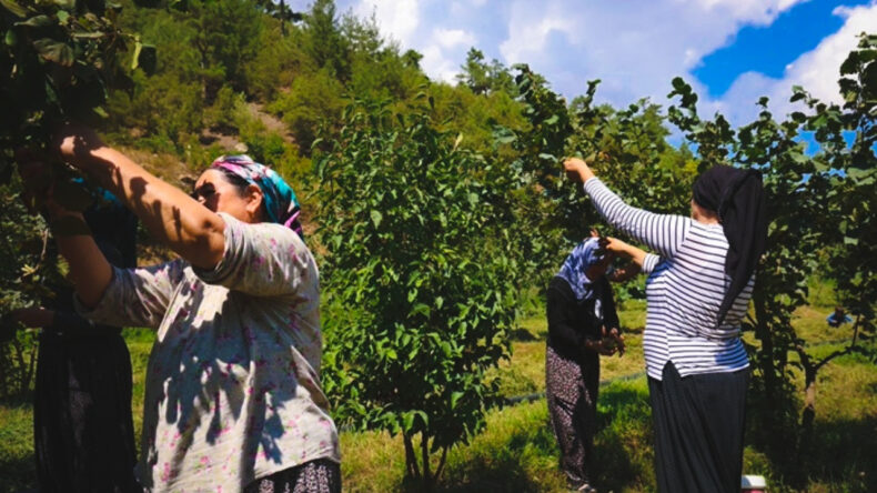 Alarm Verilmişti, Hasarın Boyutu Belli Oldu: 100 Bin Ton