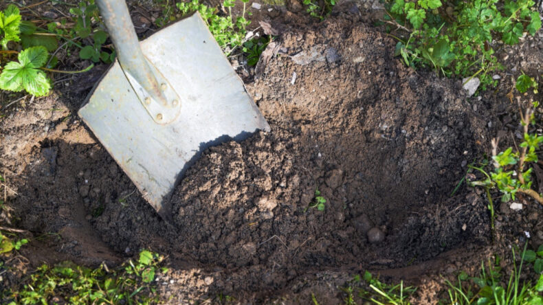 Aldıkları Evde Cesetler Üst Üste Çıktı