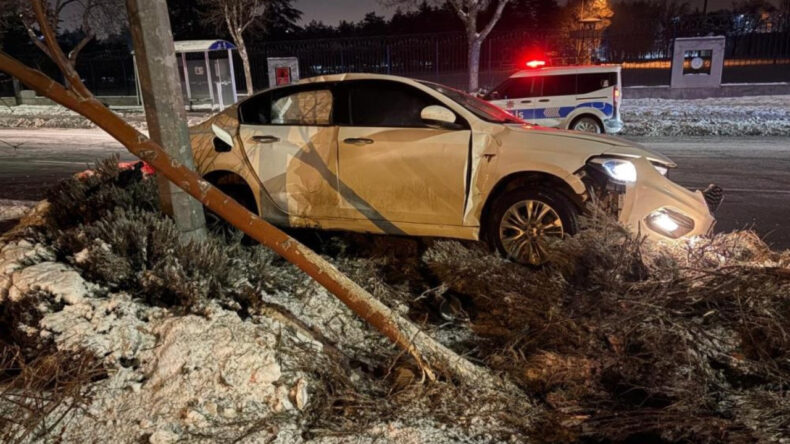 Alkoll&uuml; S&uuml;r&uuml;c&uuml;, &Ouml;nce Ağacı Devirip Sonra Direğe &Ccedil;arptı