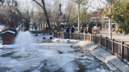 Ankara'da Eksi 11 Derece: G&ouml;ller Buzla Kaplandı