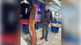 Ankara'daki g&ouml;lde yakalandı: 2 metre uzunluğunda 85 kilo ağırlığında