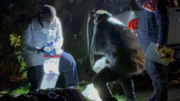 Antalya'da Ara&ccedil; İ&ccedil;inde Yanmış Ceset Bulundu