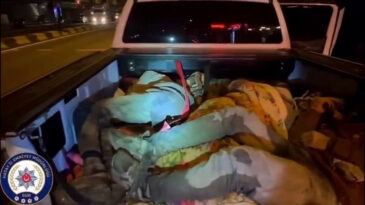 Ara&ccedil;tan 8 G&ouml;&ccedil;men &Ccedil;ıktı: 2 Ka&ccedil;ak&ccedil;ı Tutuklandı