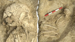 Arkeologların Dikkatini &Ccedil;eken Bulgu: 6000 Yıl &Ouml;nce Aslan Saldırısından Kurtulmuş