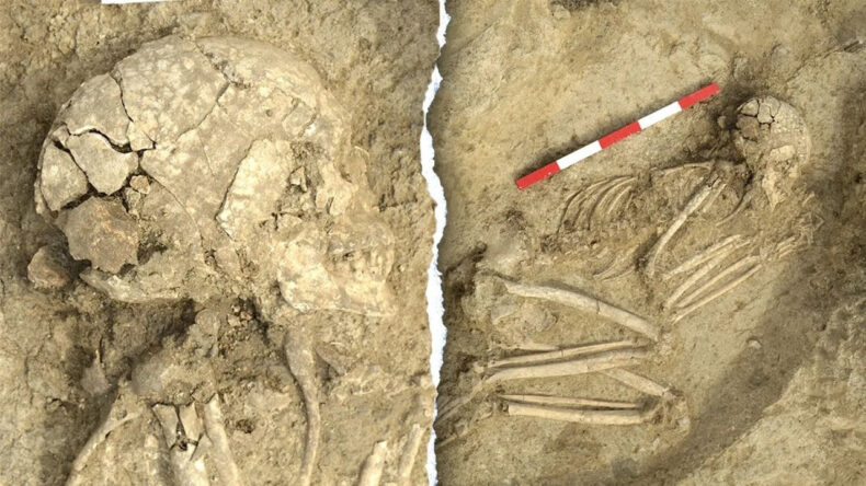 Arkeologların Dikkatini &Ccedil;eken Bulgu: 6000 Yıl &Ouml;nce Aslan Saldırısından Kurtulmuş