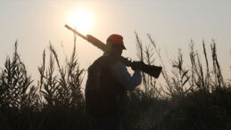 Avda kuzenini &ouml;ld&uuml;rd&uuml;