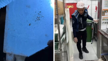 AVM Restoranlarında Hijyen Skandalı: B&ouml;cek Yuvaları Tespit Edildi