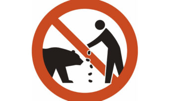 Ayı Saldırılarına &Ouml;nlem: Yeni Uyarı Tabelaları Geliyor