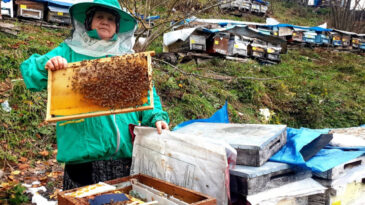 Babadan Kalan Mirasla Hayat Kurdu: Arıcılıkla 8 Kardeş Okuttu