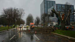 Bakırk&ouml;y'de B&uuml;y&uuml;k Bir Tehlike: Ağa&ccedil;, 4 Aracın &Uuml;zerine D&uuml;şt&uuml;