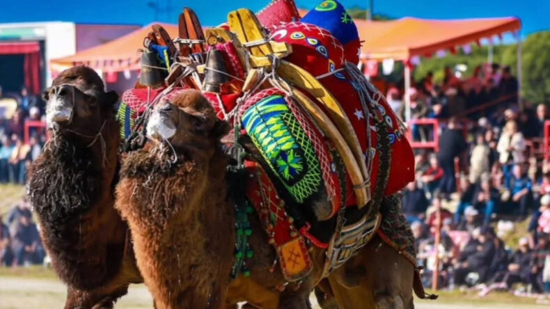 Balıkesir'de Protesto Hazırlığı