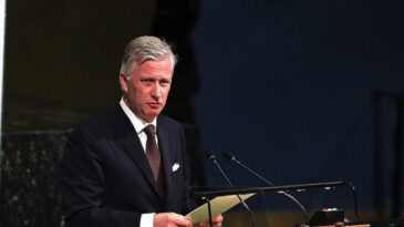 Bel&ccedil;ika'da 'Kral G&ouml;r&uuml;nt&uuml;l&uuml; Arıyor' Alarmı