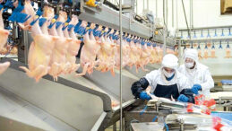 Beyaz Et Fiyatları Y&uuml;kselişe Ge&ccedil;ecek