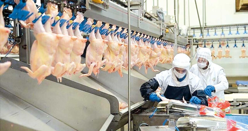 Beyaz Et Fiyatları Y&uuml;kselişe Ge&ccedil;ecek