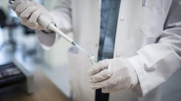 Bilim İnsanları 'Gizli Yaşlanma Saati' Keşfetti