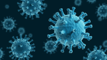 Bilim İnsanları Uyardı: &Ouml;nemsenmeyen Vir&uuml;sler Gelecekte B&uuml;y&uuml;k Salgınlara Yol A&ccedil;abilir