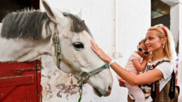 Bilimsel Araştırma: Atlar İnsanların Korkusunu Hissediyor