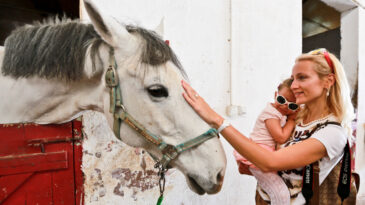 Bilimsel Araştırma: Atlar İnsanların Korkusunu Hissediyor