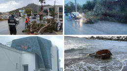Bodrum'da Fırtına Alarmı: Ağa&ccedil;lar Devrildi, Deniz Ulaşımı Durduruldu