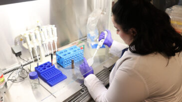 Bor'un Kanserle M&uuml;cadelesi: Etkili Sonu&ccedil;lar Ortaya &Ccedil;ıktı