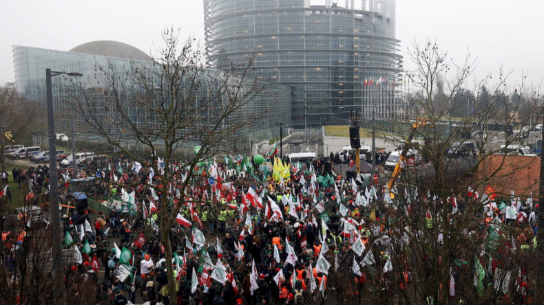 &Ccedil;ift&ccedil;iler Avrupa Parlamentosu &Ouml;n&uuml;nde Eylem D&uuml;zenledi